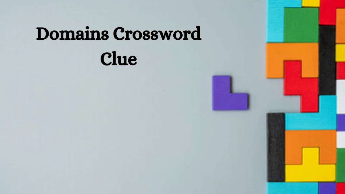 Domains NYT Crossword Clue Puzzle Answer on September 05, 2024