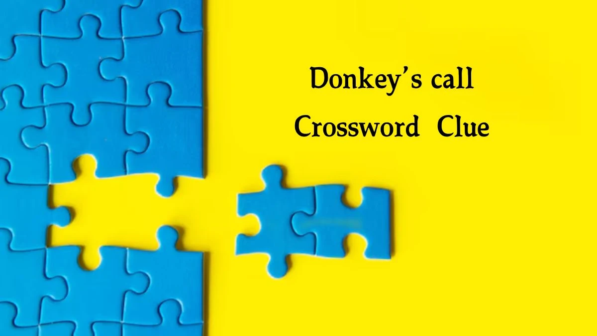 NYT Donkey’s call Crossword Clue Puzzle Answer from September 23, 2024