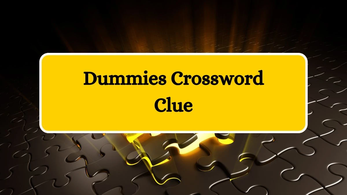 Dummies NYT Crossword Clue Puzzle Answer on September 16, 2024