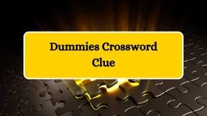 Dummies NYT Crossword Clue