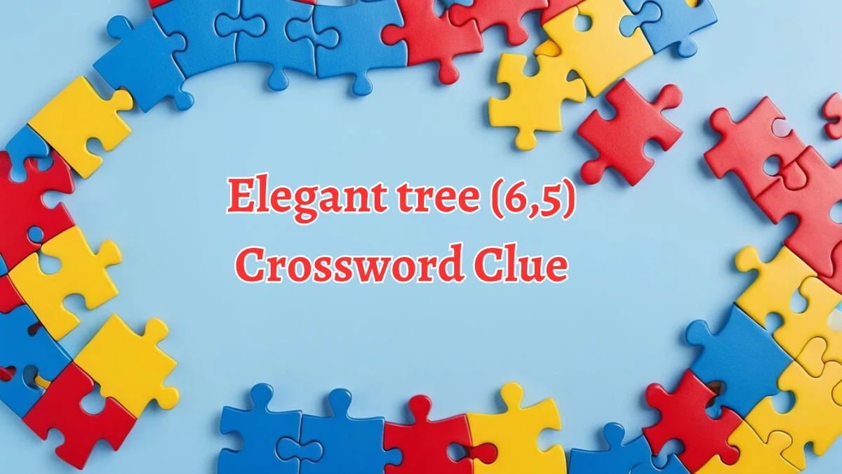 Irish Daily Mail Quick Elegant tree (6,5) Crossword Clue Puzzle Answer from September 12, 2024