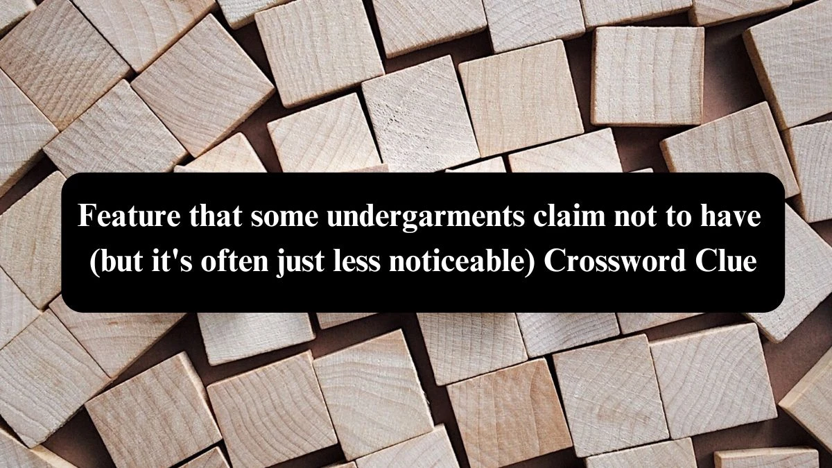 Feature that some undergarments claim not to have (but it's often just less noticeable) NYT Crossword Clue Puzzle Answer from September 27, 2024