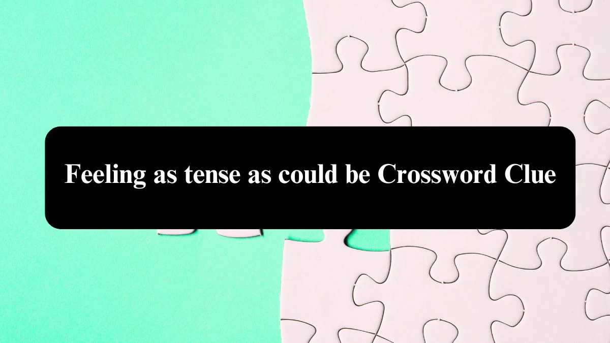 Feeling as tense as could be Crossword Clue Answers on September 16, 2024