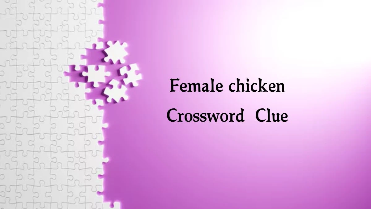 Irish Daily Mail Quick Female chicken 3 Letters Crossword Clue Puzzle Answers from September 23, 2024