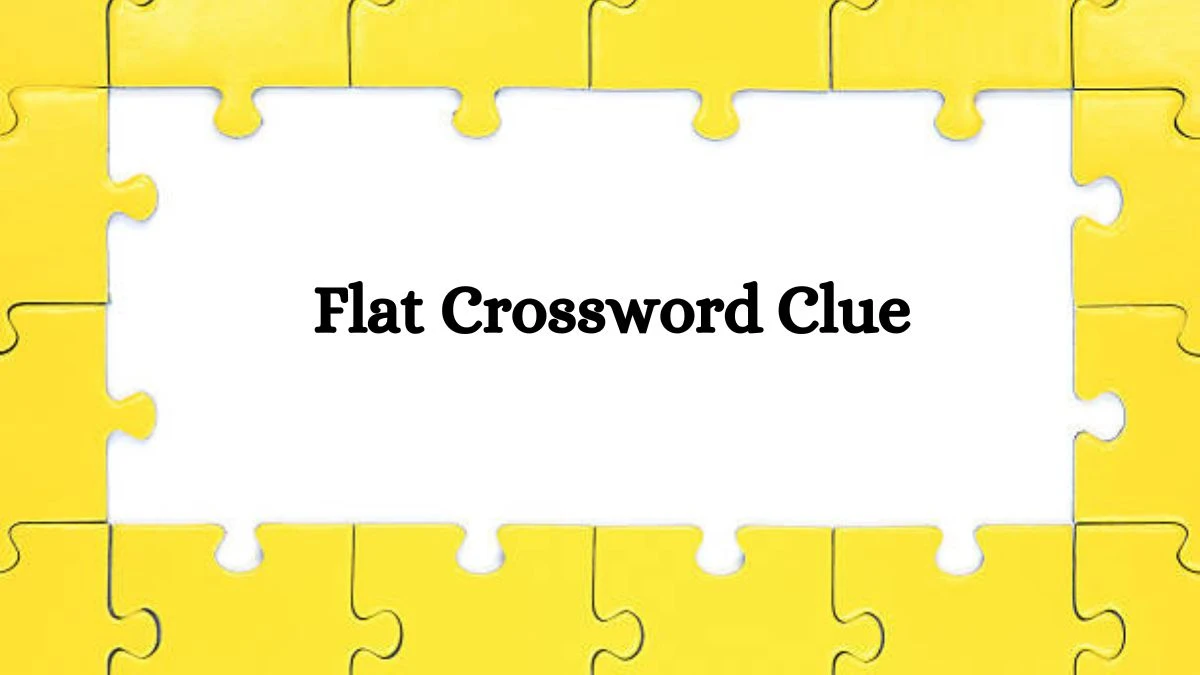 Flat NYT Crossword Clue Puzzle Answer on September 04, 2024