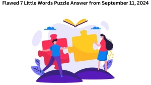 Flawed 7 Little Words Puzzle Answer from September 11, 2024