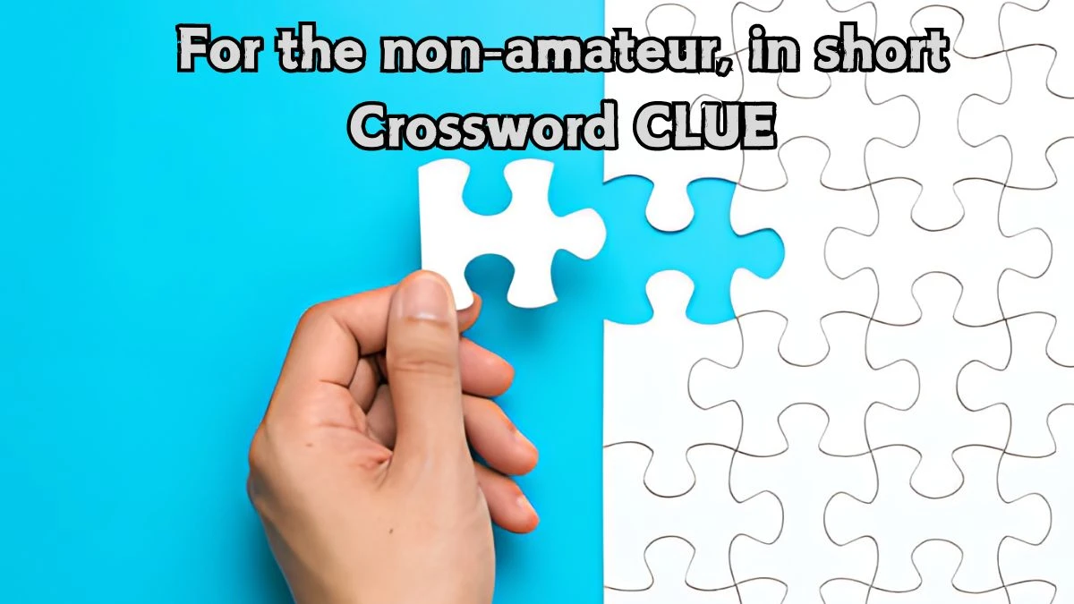 For the non-amateur, in short Crossword Clue Puzzle Answer from September 04, 2024