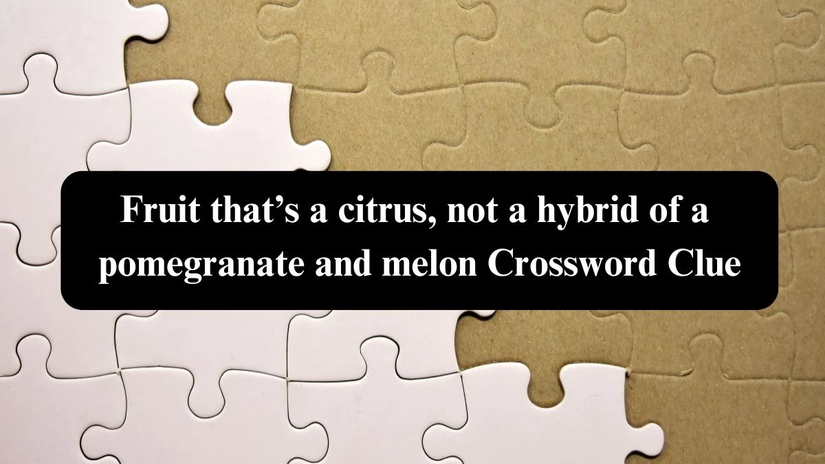 Fruit that’s a citrus, not a hybrid of a pomegranate and melon NYT Crossword Clue Puzzle Answer from September 16, 2024