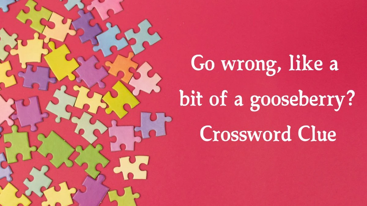 Go wrong, like a bit of a gooseberry? Crossword Clue Answers on September 06, 2024