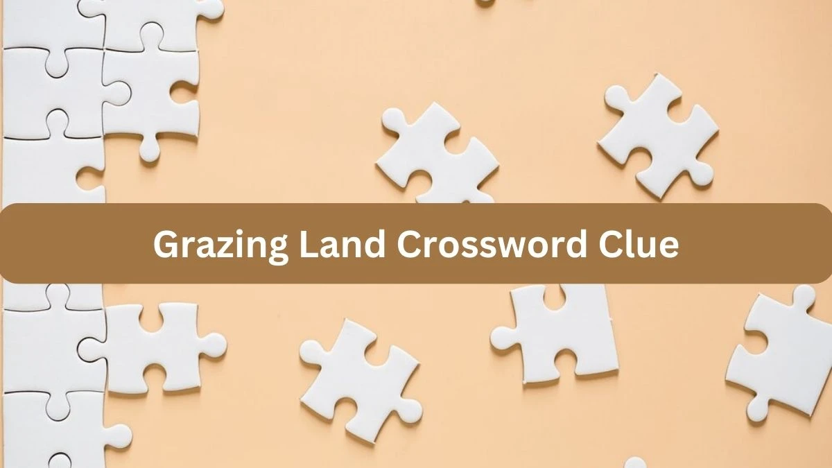 NYT Grazing Land Crossword Clue Puzzle Answer from September 24, 2024