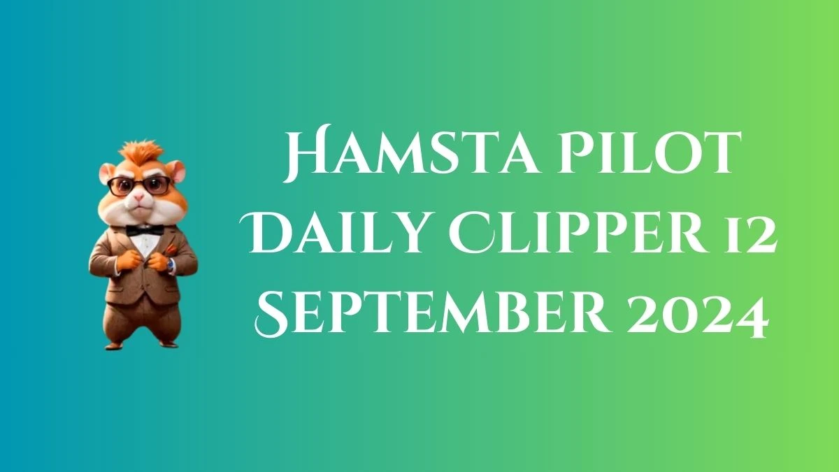 Hamsta Pilot Daily Clipper 12 September 2024