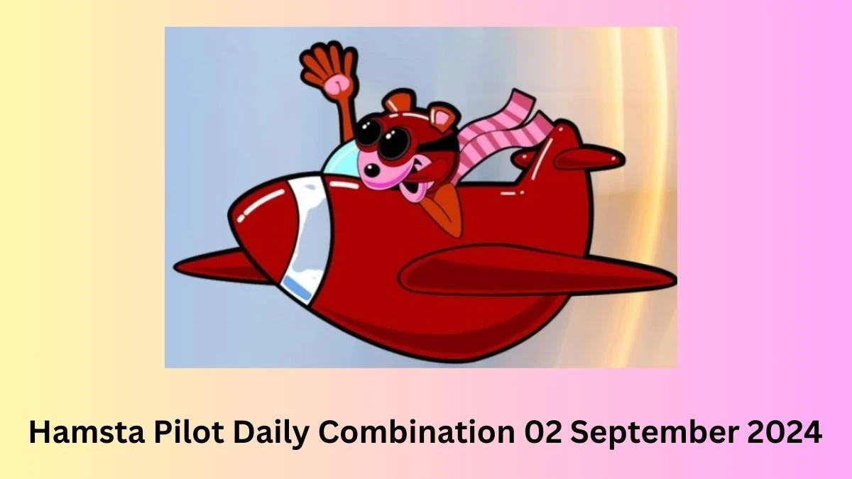 Hamsta Pilot Daily Combination 02 September 2024