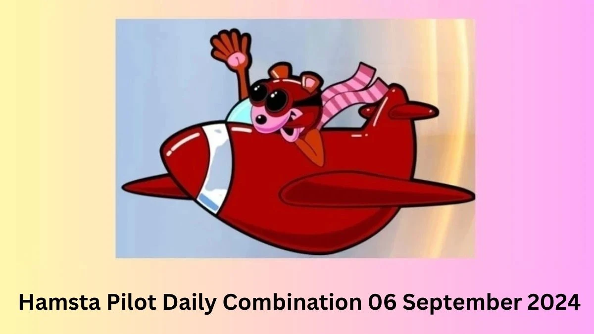 Hamsta Pilot Daily Combination 06 September 2024