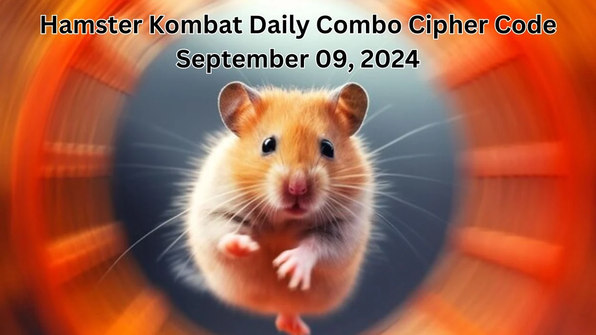 Hamster Kombat Daily Combo Cipher Code September 09, 2024