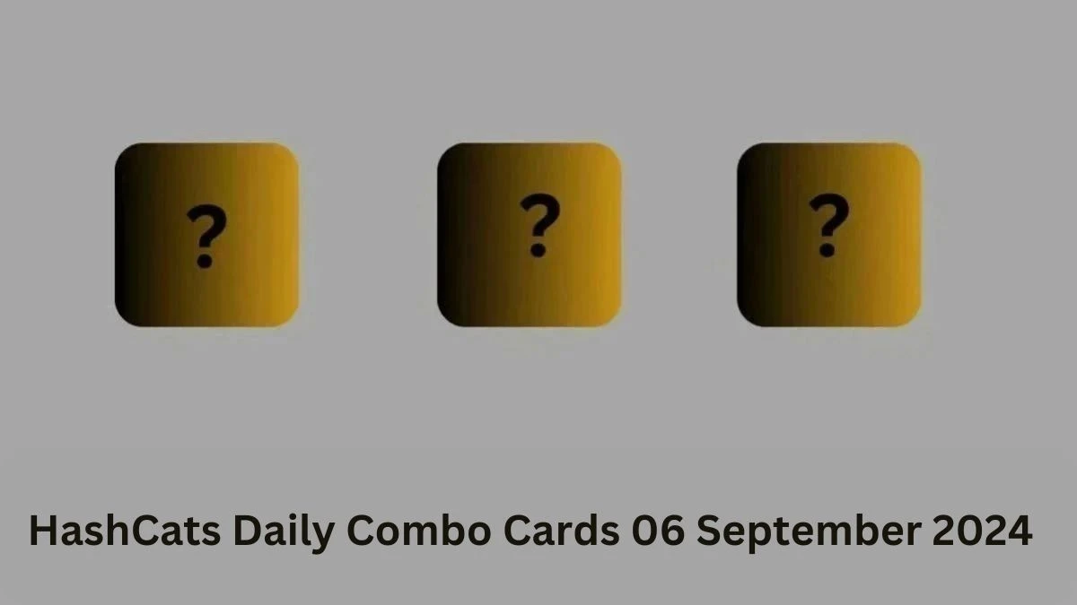 HashCats Daily Combo Cards 06 September 2024