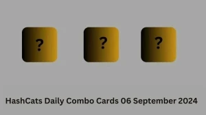 HashCats Daily Combo Cards 06 September 2024