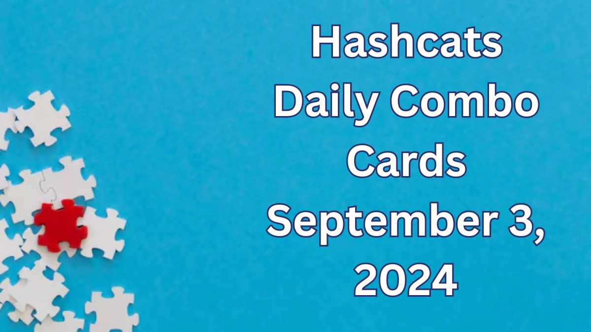 Hashcats Daily Combo Cards September 3, 2024