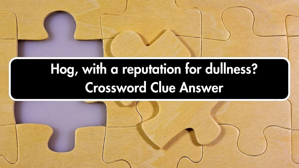 Hog, with a reputation for dullness? Crossword Clue Puzzle Answer from September 22, 2024