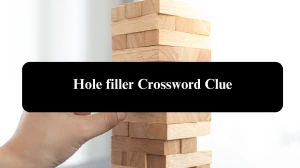 Hole filler 7 Little Words Puzzle Answer from September 28, 2024