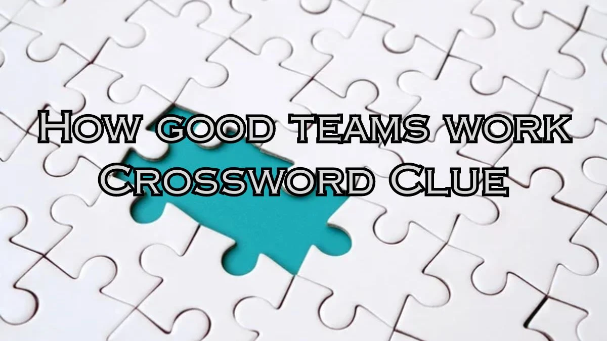 How good teams work 7 Little Words Puzzle Answer from September 17, 2024