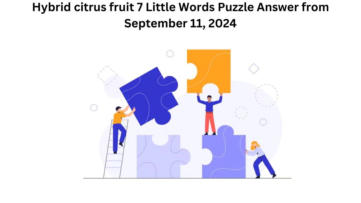 Hybrid citrus fruit 7 Little Words Puzzle Answers from September 11, 2024