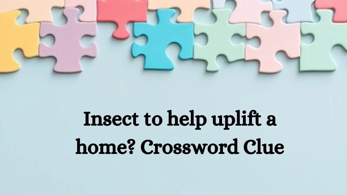 Insect to help uplift a home? Crossword Clue Puzzle Answer from September 25, 2024