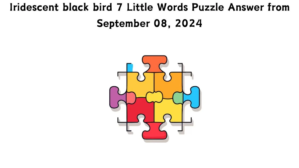 Iridescent black bird 7 Little Words Puzzle Answer from September 08, 2024