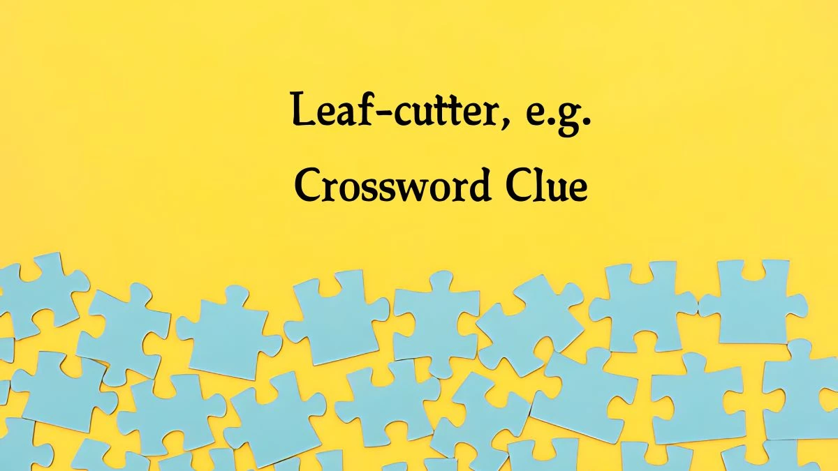 NYT Leaf-cutter, e.g. Crossword Clue Puzzle Answer from September 19, 2024