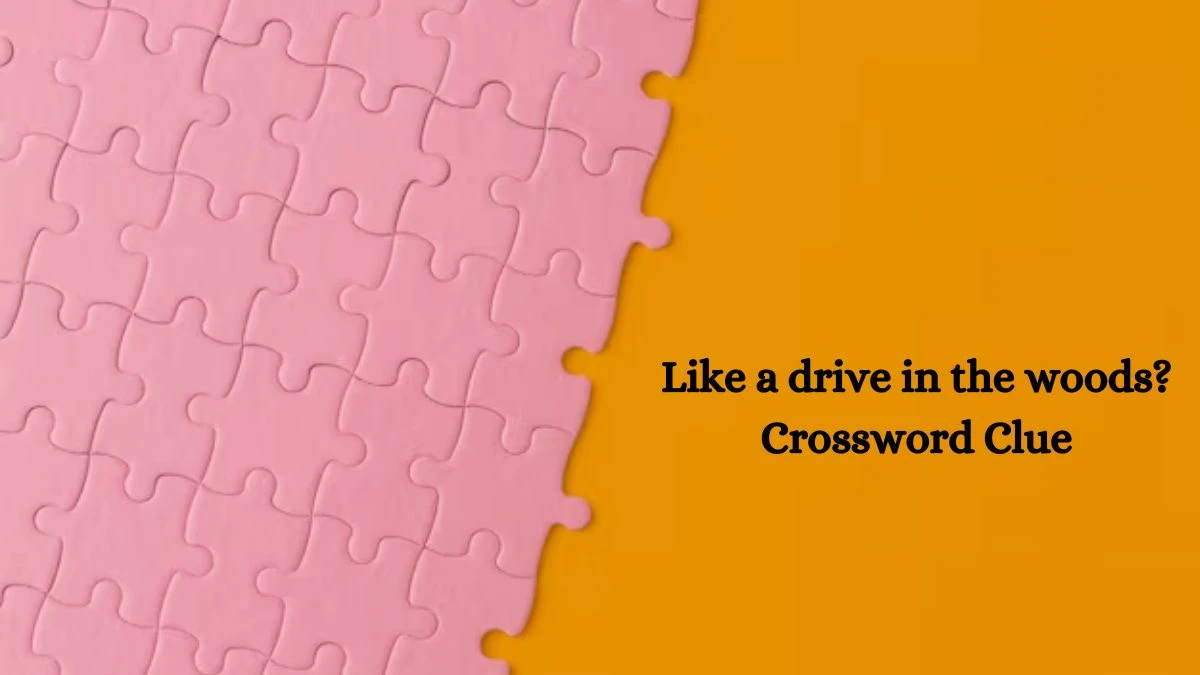 NYT Like a drive in the woods? Crossword Clue Puzzle Answer from September 24, 2024