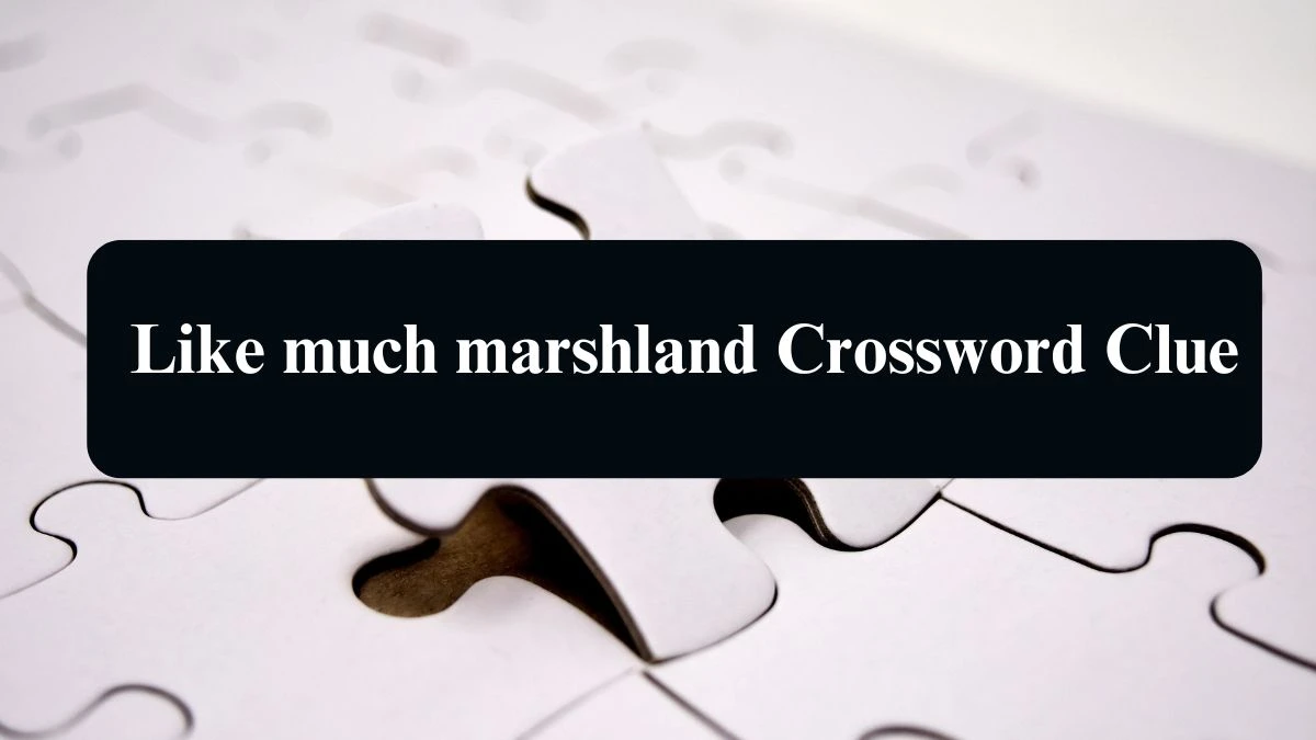 NYT Like much marshland Crossword Clue Puzzle Answer from September 12, 2024