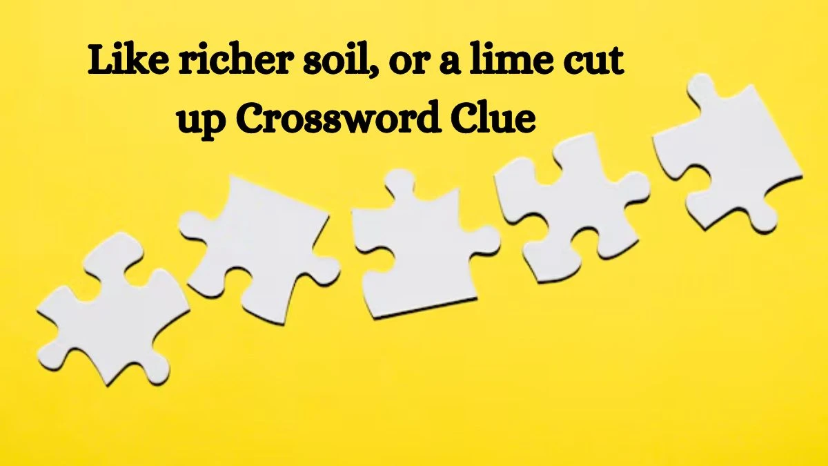 Like richer soil, or a lime cut up Crossword Clue Puzzle Answer from September 06, 2024