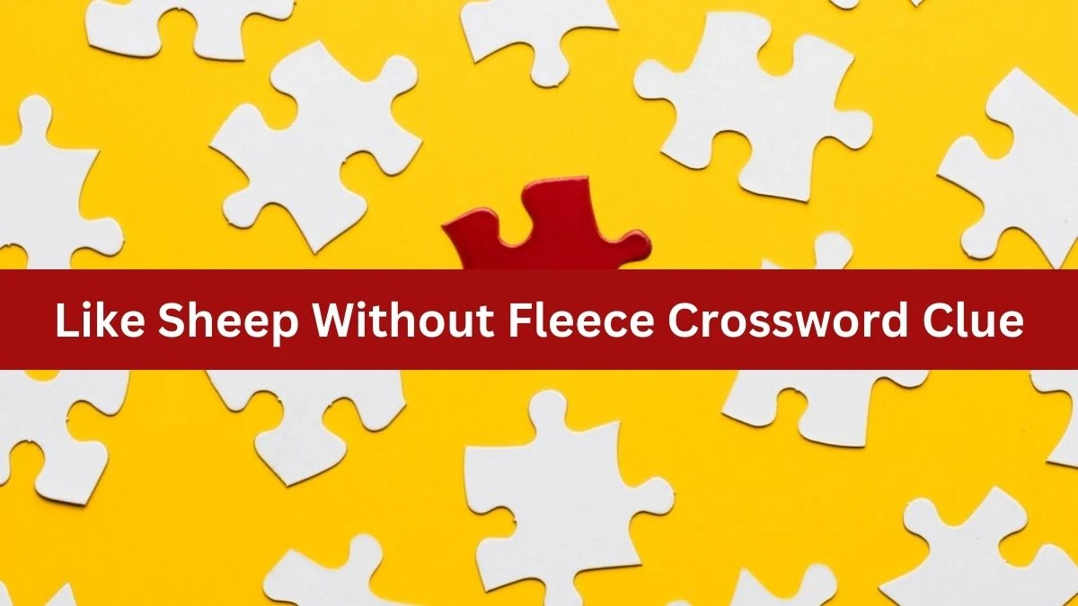 Like Sheep Without Fleece 7 Little Words Puzzle Answer from September 26, 2024