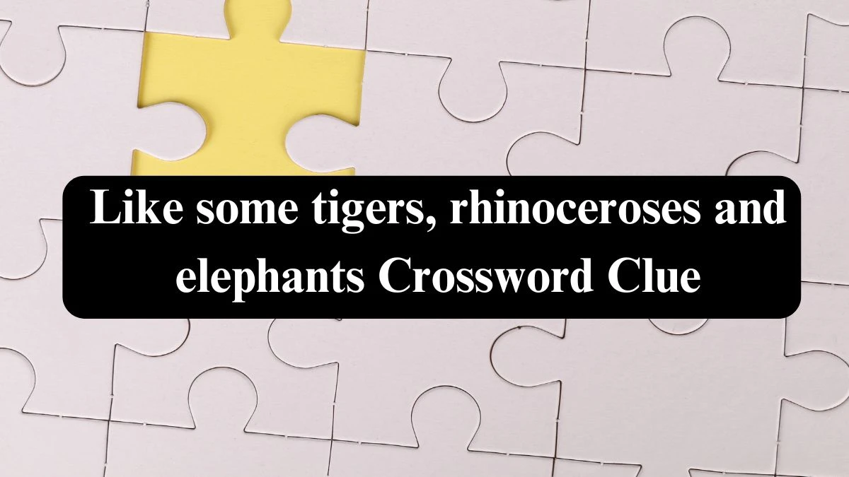 Like some tigers, rhinoceroses and elephants NYT Crossword Clue Puzzle Answer from September 17, 2024