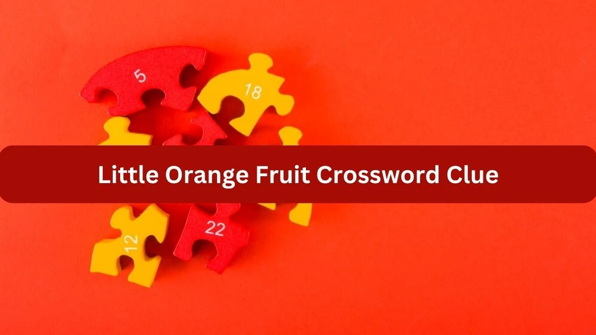 Little Orange Fruit 7 Little Words Puzzle Answer from September 24, 2024