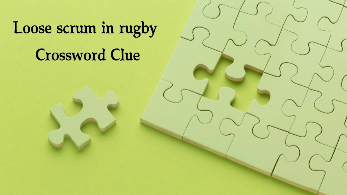 Loose scrum in rugby 4 Letters Crossword Clue Puzzle Answer from September 19, 2024