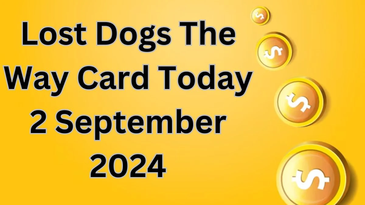 Lost Dogs The Way Card Today 2 September 2024