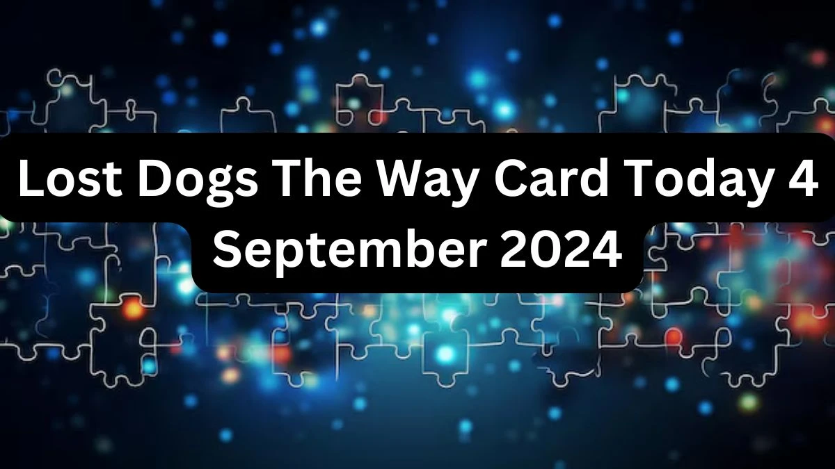 Lost Dogs The Way Card Today 4 September 2024