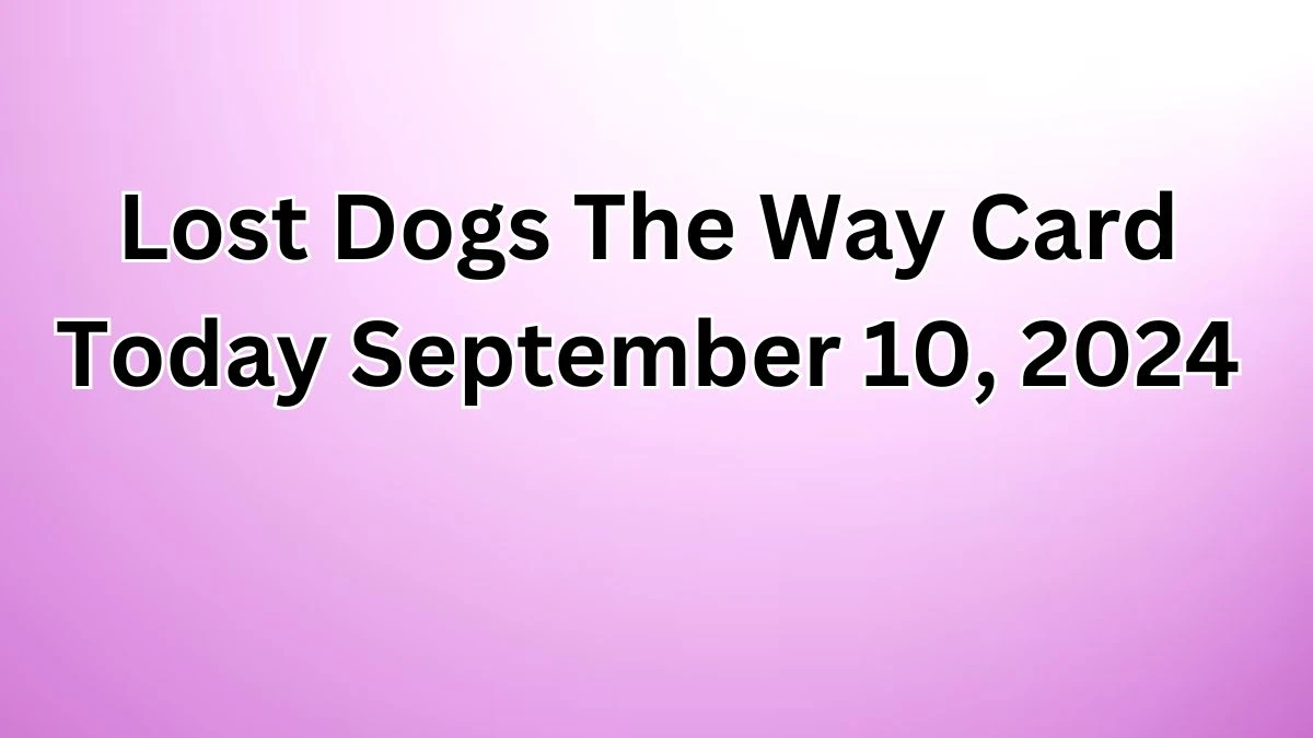 Lost Dogs The Way Card Today September 10, 2024