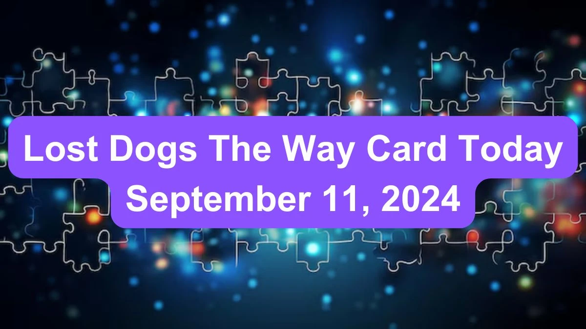 Lost Dogs The Way Card Today September 11, 2024