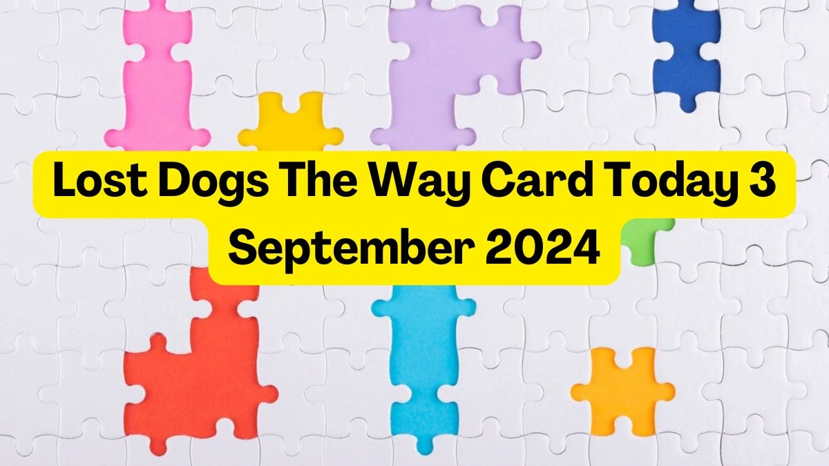 Lost Dogs The Way Card Today September 3, 2024