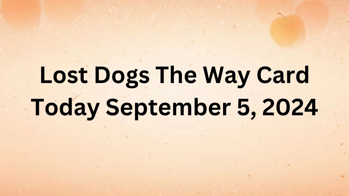 Lost Dogs The Way Card Today September 5, 2024