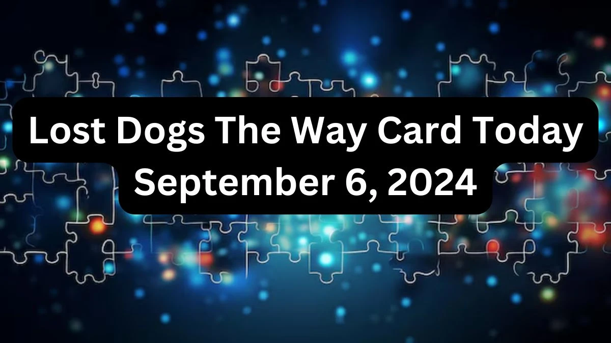 Lost Dogs The Way Card Today September 6, 2024