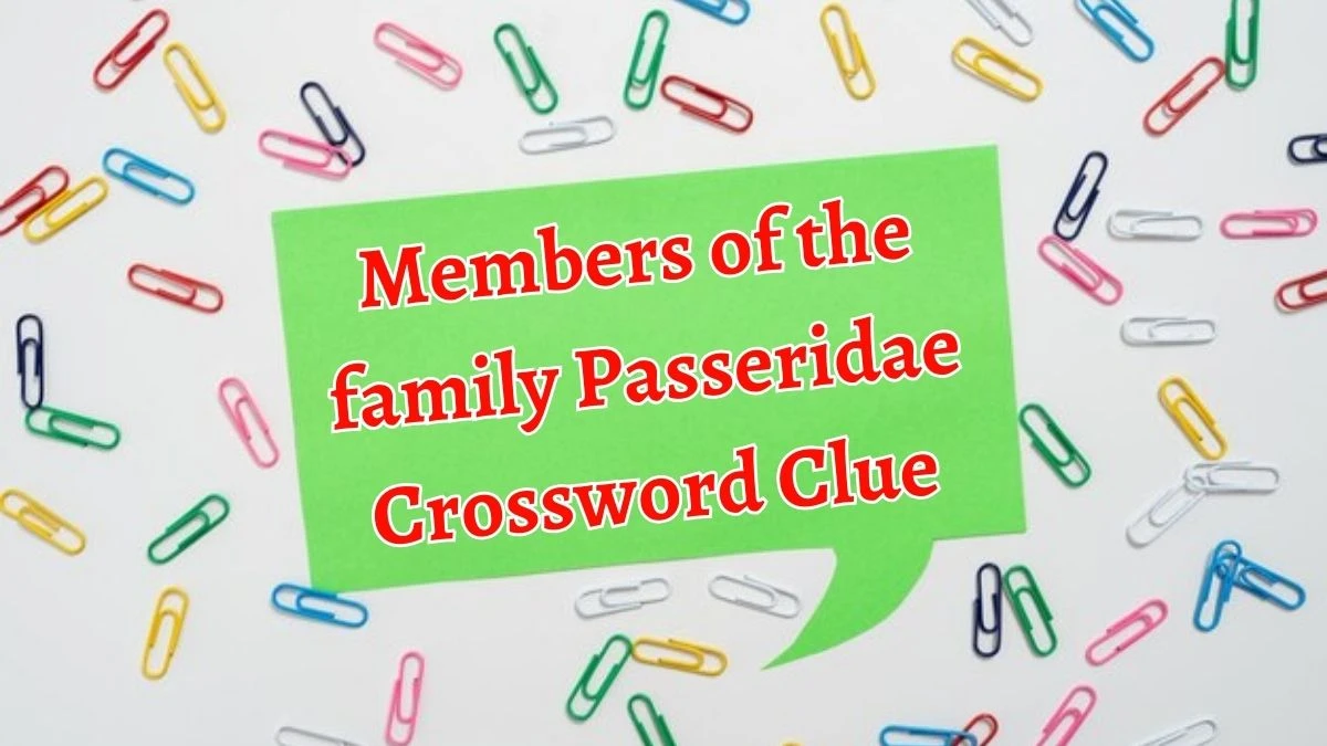 Members of the family Passeridae (8) NYT Crossword Clue Puzzle Answer from September 20, 2024