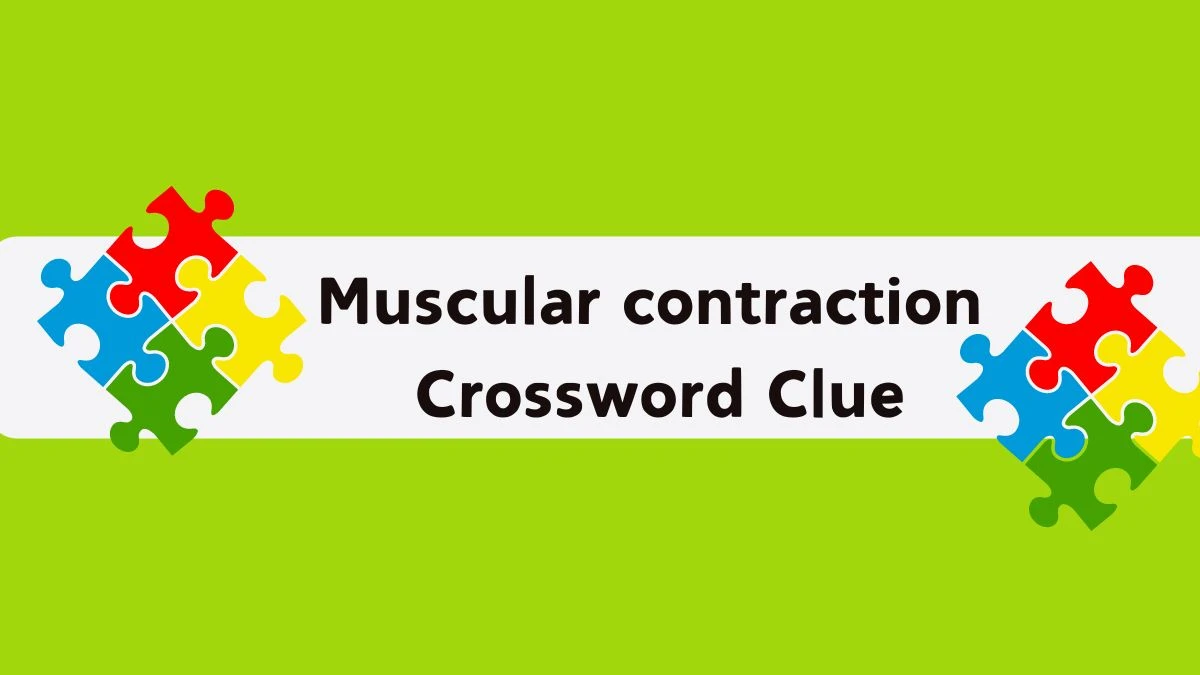 Muscular contraction Irish Daily Mail Quick Crossword Clue Puzzle Answer from September 20, 2024