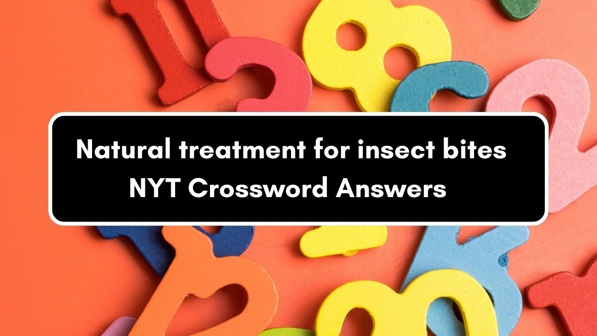 Natural treatment for insect bites NYT Crossword Clue Puzzle Answer on September 05, 2024