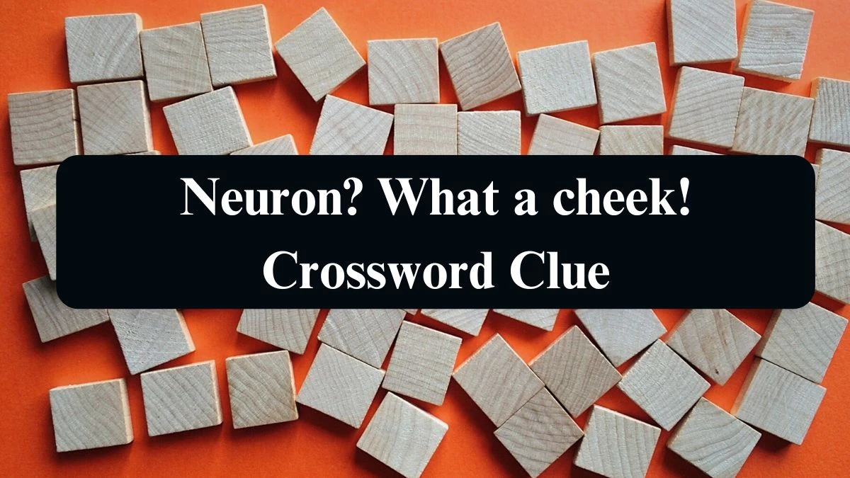 Neuron? What a cheek! Crossword Clue Puzzle Answer from September 09, 2024