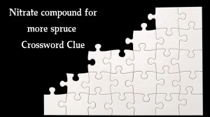 Nitrate compound for more spruce Crossword Clue Puzzle Answer from September 19, 2024