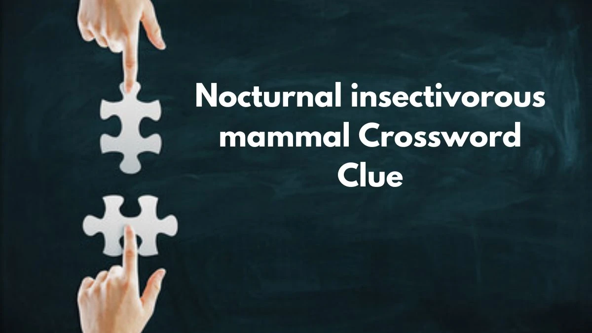 Irish Daily Mail Quick Nocturnal insectivorous mammal Crossword Clue Puzzle Answer from September 09, 2024