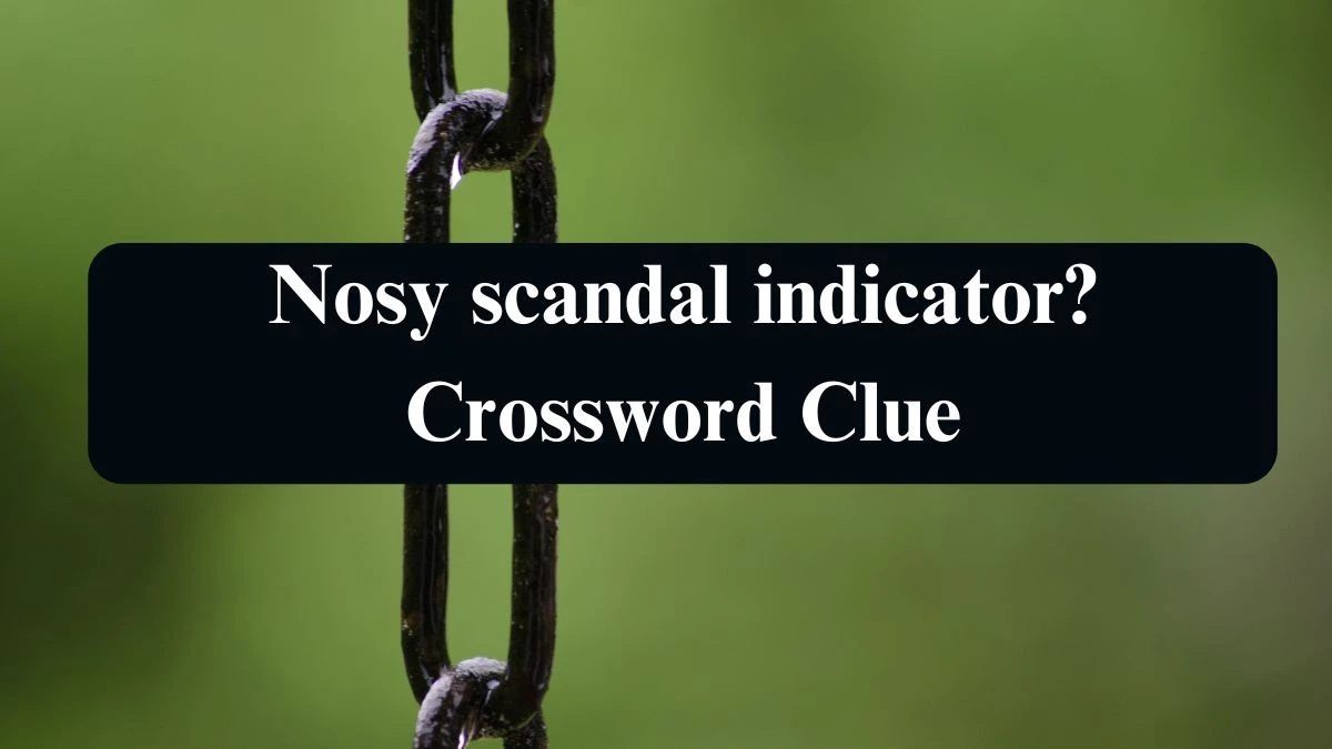 Nosy scandal indicator? Crossword Clue Puzzle Answer from September 12, 2024