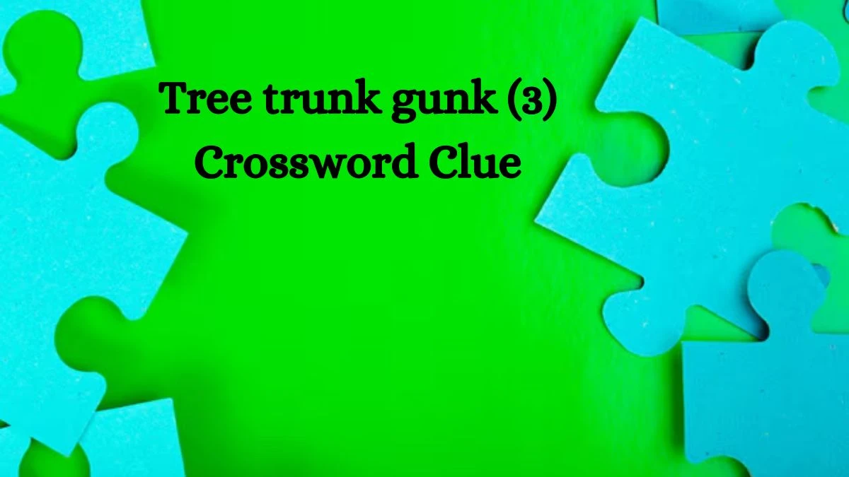 NYT Tree trunk gunk Crossword Clue Puzzle Answer from September 23, 2024